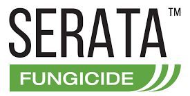 Serata Logo